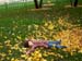 Ashley 

Earles-Bennett Photo